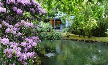 Cottages At Monreale - Accommodation Noosa 7