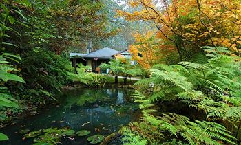Cottages At Monreale - Accommodation Noosa 12