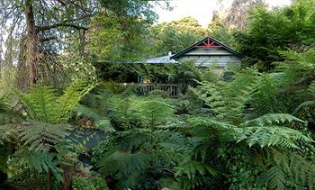Cottages At Monreale - Accommodation Noosa 13