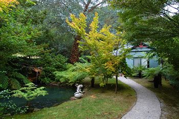 Cottages At Monreale - Accommodation Noosa 21