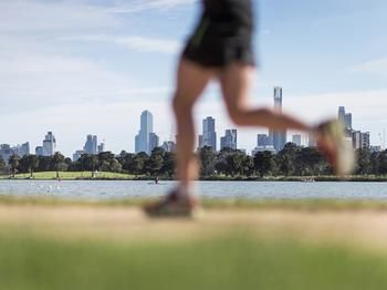 Mercure Melbourne Albert Park - Accommodation Noosa 88