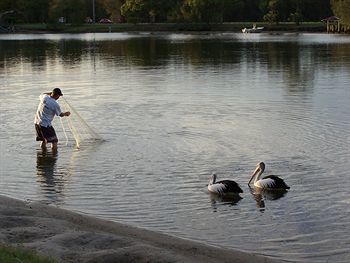 Maroochy River Resort & Bungalows - Accommodation Noosa 6