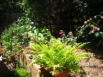 Bungunyah Apartments - Accommodation Noosa 1