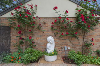 Bungunyah Apartments - Accommodation Noosa 8