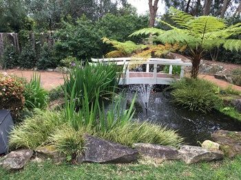 Checkers Resort & Conference Centre - Accommodation Noosa 20