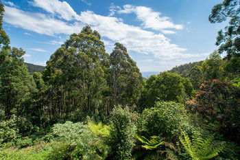A Camelot Tower & Penthouse - Accommodation Noosa 46