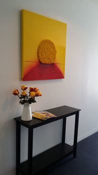 Hiigh Apartments - Accommodation Noosa 18
