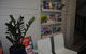 Highfield Hotel - thumb 5