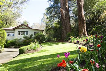 Adeline Bed And Breakfast - Accommodation Noosa 5