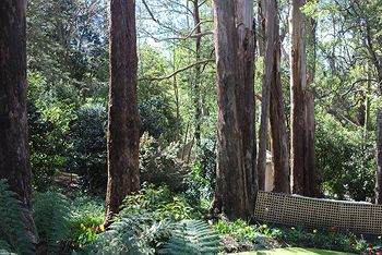 Adeline Bed And Breakfast - Accommodation Noosa 8