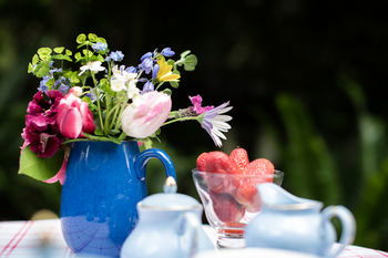 Adeline Bed And Breakfast - Accommodation Noosa 21