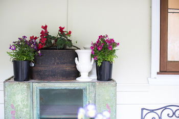 Adeline Bed And Breakfast - Accommodation Noosa 22