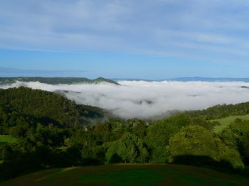 Artisan Spa Views - Accommodation Noosa 3