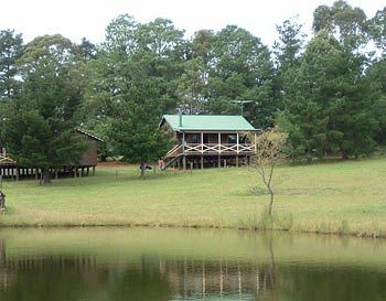 Madison's Mountain Retreat - Accommodation Noosa 2