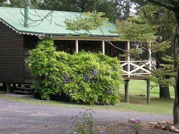 Madison's Mountain Retreat - Accommodation Noosa 4