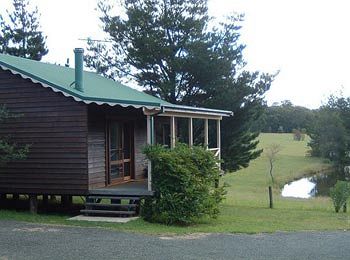Madison's Mountain Retreat - Accommodation Noosa 5