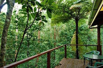 Kondalilla Eco Resort - Accommodation Noosa 2