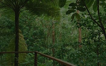 Kondalilla Eco Resort - Accommodation Noosa 7