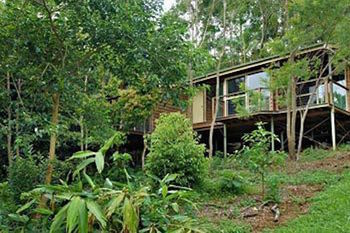 Kondalilla Eco Resort - Accommodation Noosa 22