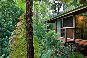 Kondalilla Eco Resort - Accommodation Noosa 23