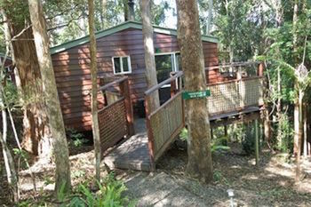 Kondalilla Eco Resort - Accommodation Noosa 27