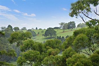 Kondalilla Eco Resort - Accommodation Noosa 28