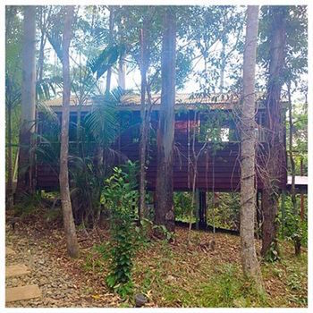 Kondalilla Eco Resort - Accommodation Noosa 32