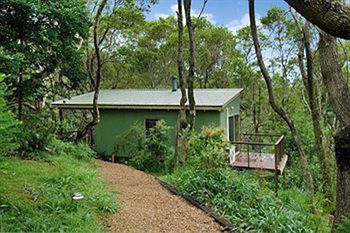 Kondalilla Eco Resort - Accommodation Noosa 34