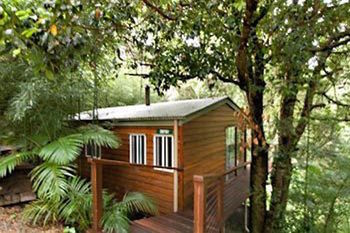 Kondalilla Eco Resort - Accommodation Noosa 35