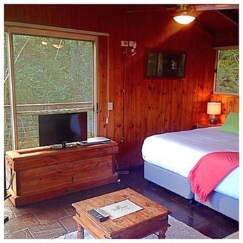 Kondalilla Eco Resort - Accommodation Noosa 50