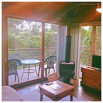 Kondalilla Eco Resort - Accommodation Noosa 89
