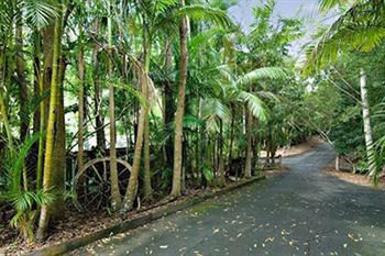 Kondalilla Eco Resort - Accommodation Noosa 94