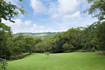 Kondalilla Eco Resort - Accommodation Noosa 97