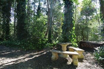 Kondalilla Eco Resort - Accommodation Noosa 98