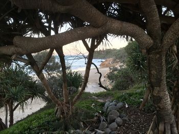 Surf Dance - Accommodation Noosa 9