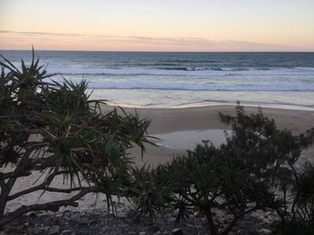 Surf Dance - Accommodation Noosa 12