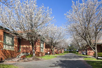 Apartments @ Mt Waverley - Accommodation Noosa 26