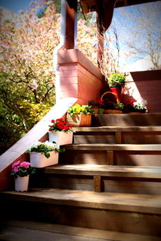 Hotel Avonleigh - Accommodation Noosa 13