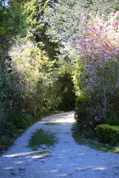 Hotel Avonleigh - Accommodation Noosa 15