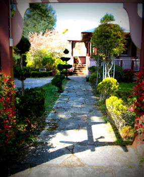 Hotel Avonleigh - Accommodation Noosa 17