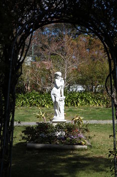 Hotel Avonleigh - Accommodation Noosa 18