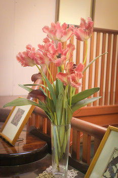 Hotel Avonleigh - Accommodation Noosa 30