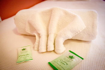 Hotel Avonleigh - Accommodation Noosa 37