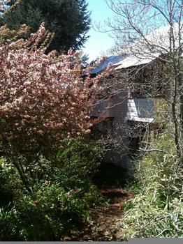 Hotel Avonleigh - Accommodation Noosa 45