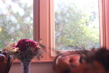 Hotel Avonleigh - Accommodation Noosa 46