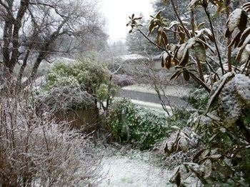 Hotel Avonleigh - Accommodation Noosa 51