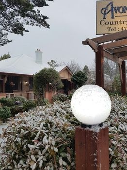 Hotel Avonleigh - Accommodation Noosa 54