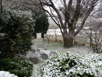 Hotel Avonleigh - Accommodation Noosa 55