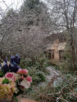 Hotel Avonleigh - Accommodation Noosa 56