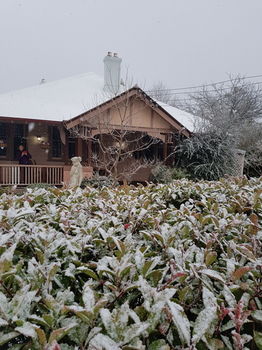 Hotel Avonleigh - Accommodation Noosa 57